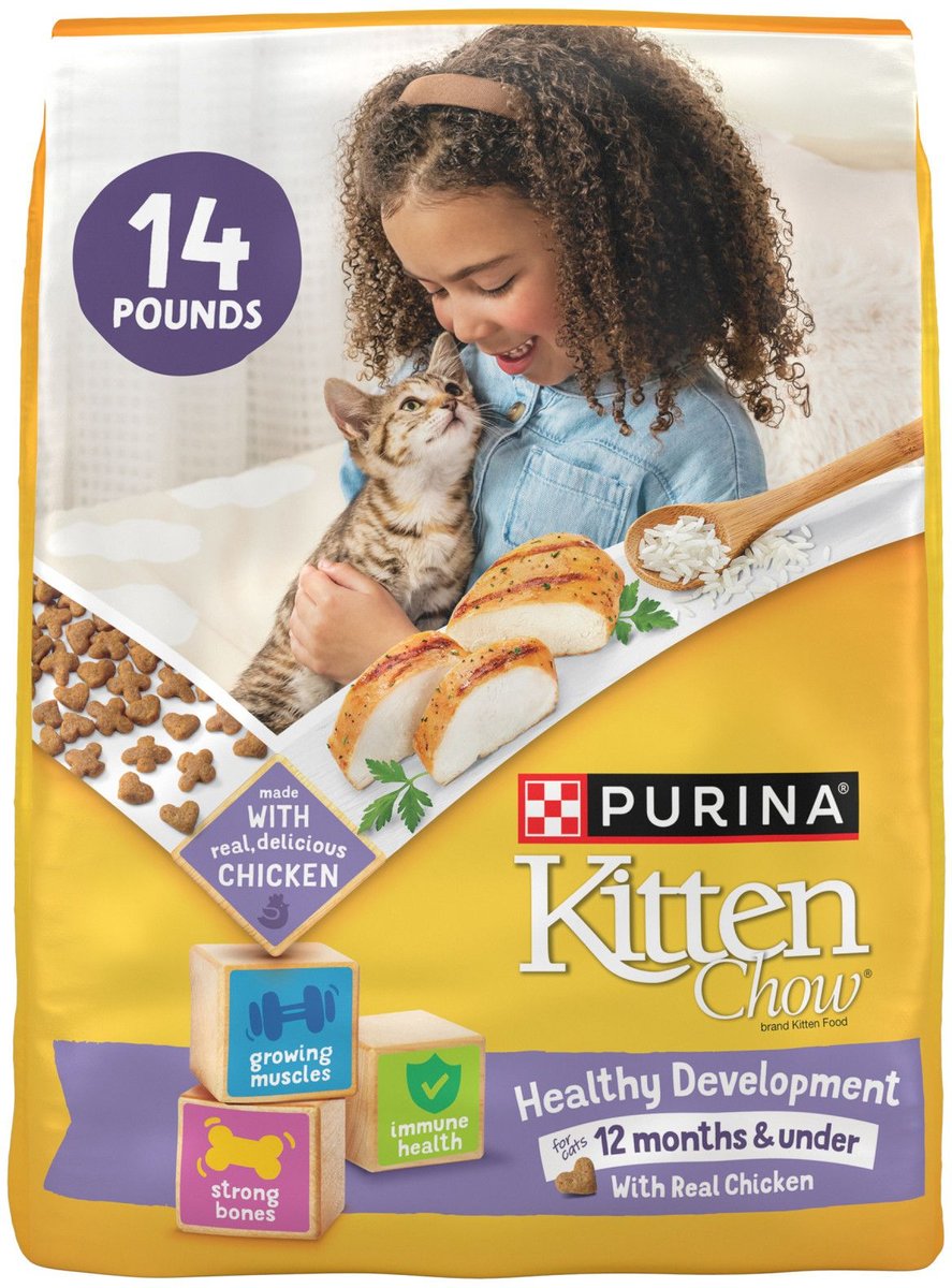 kitten food