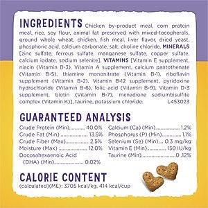 Kitten Chow Nurture Muscle & Brain Development Dry Cat Food, 14-lb bag