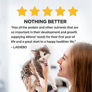 Kitten Chow Nurture Muscle & Brain Development Dry Cat Food, 14-lb bag