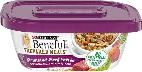 Purina Beneful Freshly Prepared Meals Simmered Beef Entree with Carrots, Barley, Wild Rice & Spinach Wet Dog Food