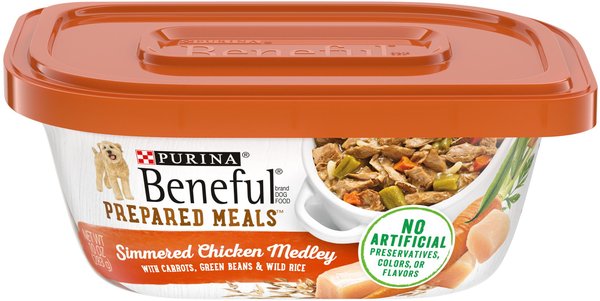 Purina Beneful Freshly Prepared Meals Simmered Chicken Medley with Carrots, Green Beans & Wild Rice Wet Dog Food