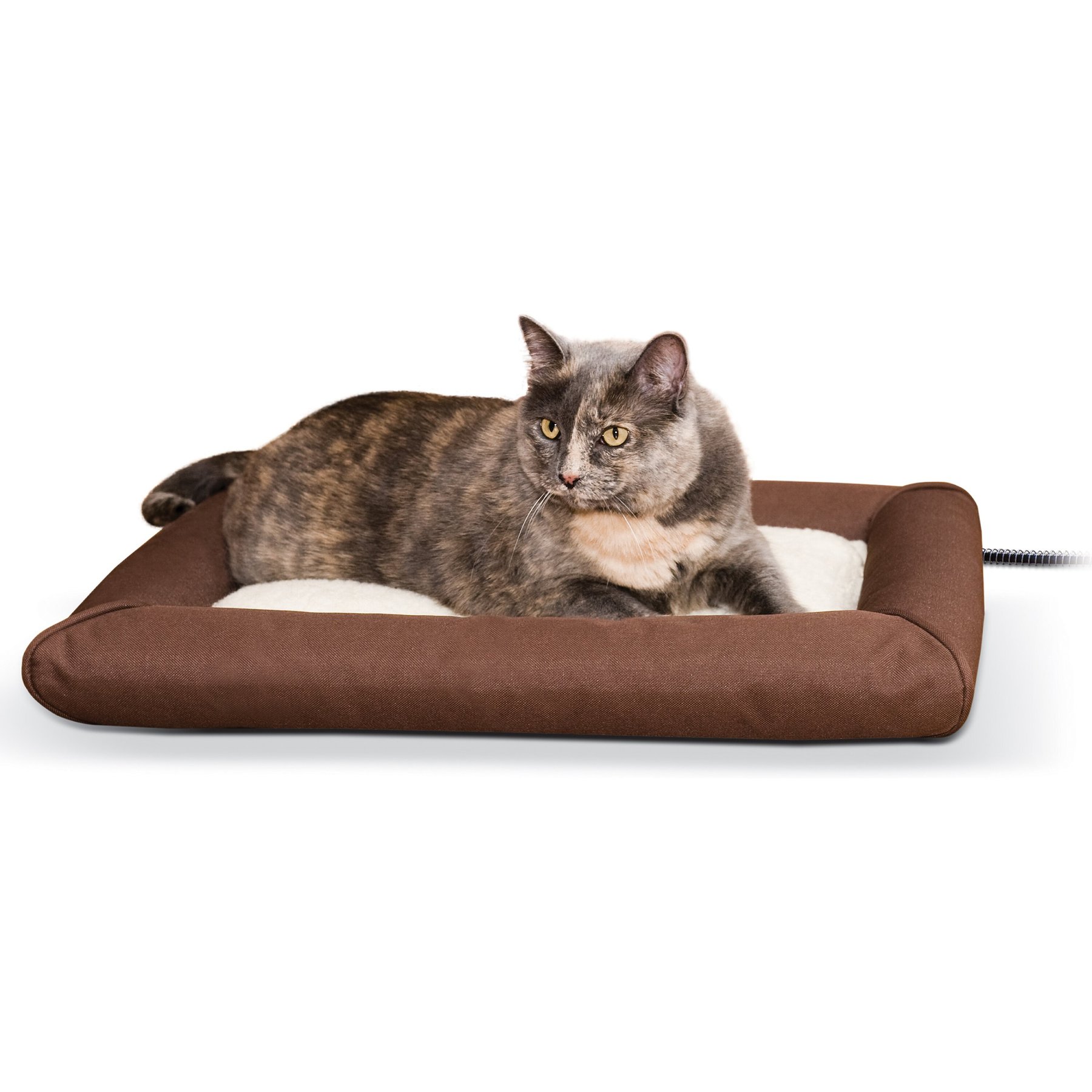 Chewy heated cat outlet beds