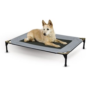 Elevated Dog Bed