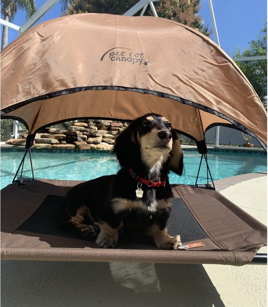 K&H Pet Products Cot Canopy for Elevated Dog Bed, Tan, Small slide 1 of 10