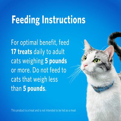 Show full view: DentaLife Tasty Chicken Flavor Dental Cat Treats, 13.5-oz tub slide 10 of 13