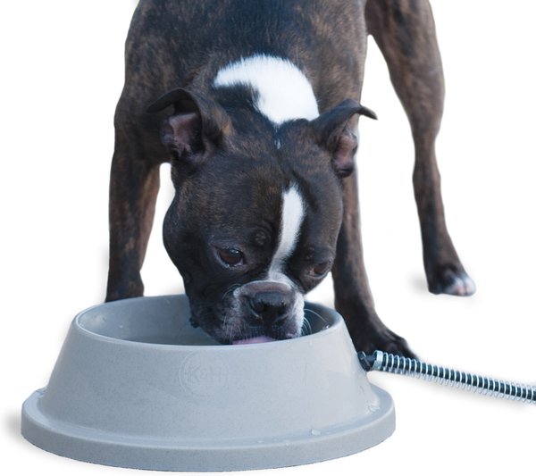 K&H Pet Products Thermal-Bowl Plastic Dog & Cat Bowl, 32-oz slide 1 of 11