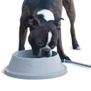 K&H Pet Products Thermal-Bowl Outdoor Heated Cat & Dog Water Bowl, Slate Gray, 32-oz