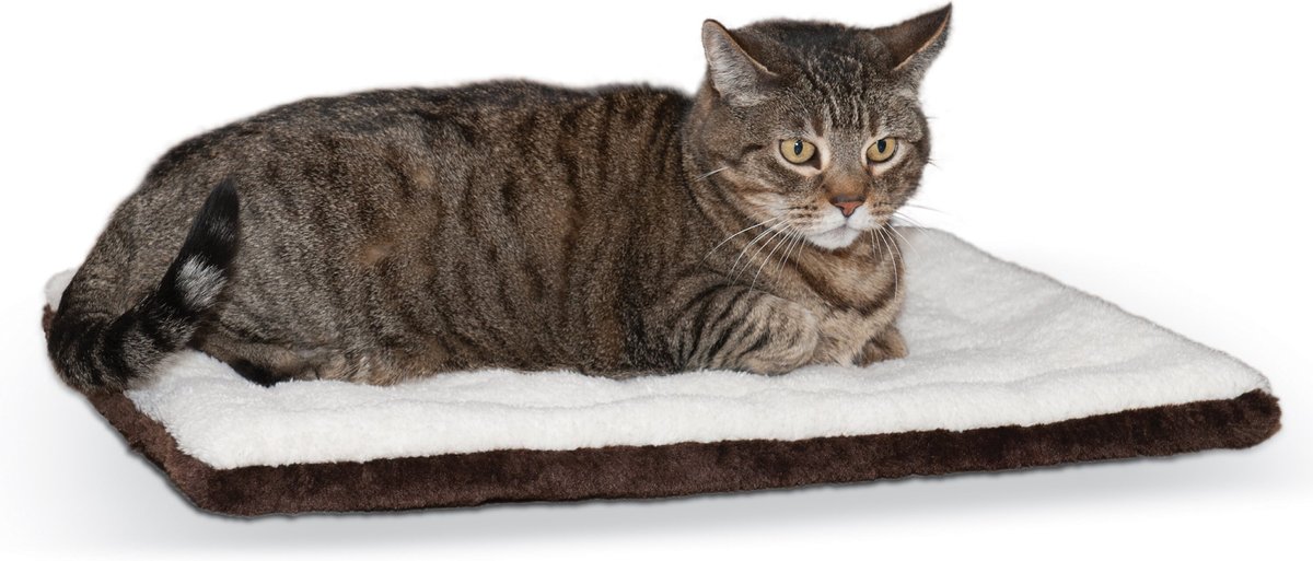 Cat self hot sale warming pad