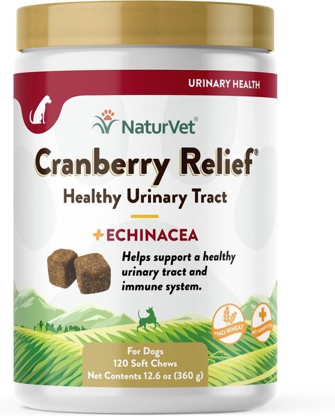 can i give my dog cranberry pills for uti