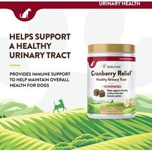 NaturVet Cranberry Relief Plus Echinacea Soft Chews Urinary Supplement for Dogs, 120 count