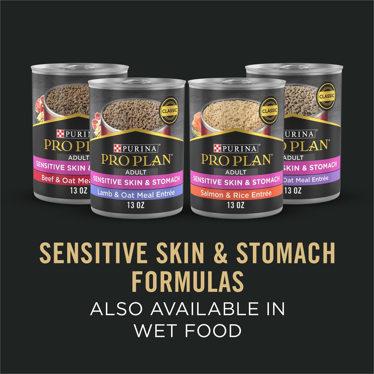 Focus adult sensitive skin & clearance stomach salmon & rice formula