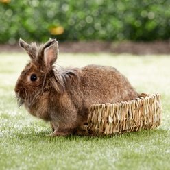 Peter's Woven Grass Small Animal Bed, 10-in slide 2 of 2