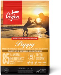 what are the best grain free dry dog foods