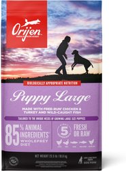 ORIJEN Puppy Large Grain-Free Dry Puppy Food