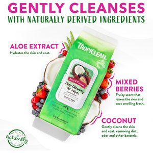 TropiClean Deep Cleaning Berry & Coconut Deodorizing Dog Wipes, 100 count