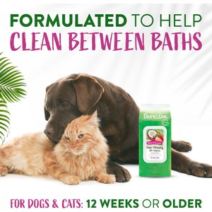 TropiClean Deep Cleaning Berry & Coconut Deodorizing Dog Wipes, 100 count