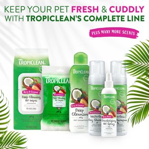 TropiClean Deep Cleaning Berry & Coconut Deodorizing Dog Wipes, 100 count