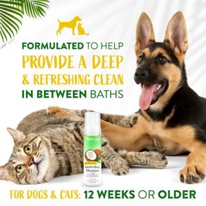 TropiClean Waterless Hypo Allergenic Dog & Cat Shampoo, 7.4-oz bottle