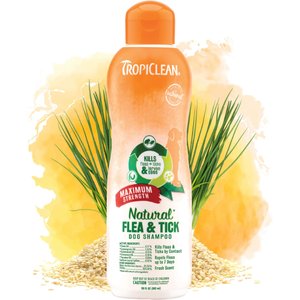 TropiClean Maximum Strength Natural Flea & Tick Dog Shampoo, 20-oz bottle
