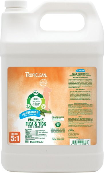 TropiClean Plus Soothing Natural Flea & Tick Treatment Dog Shampoo