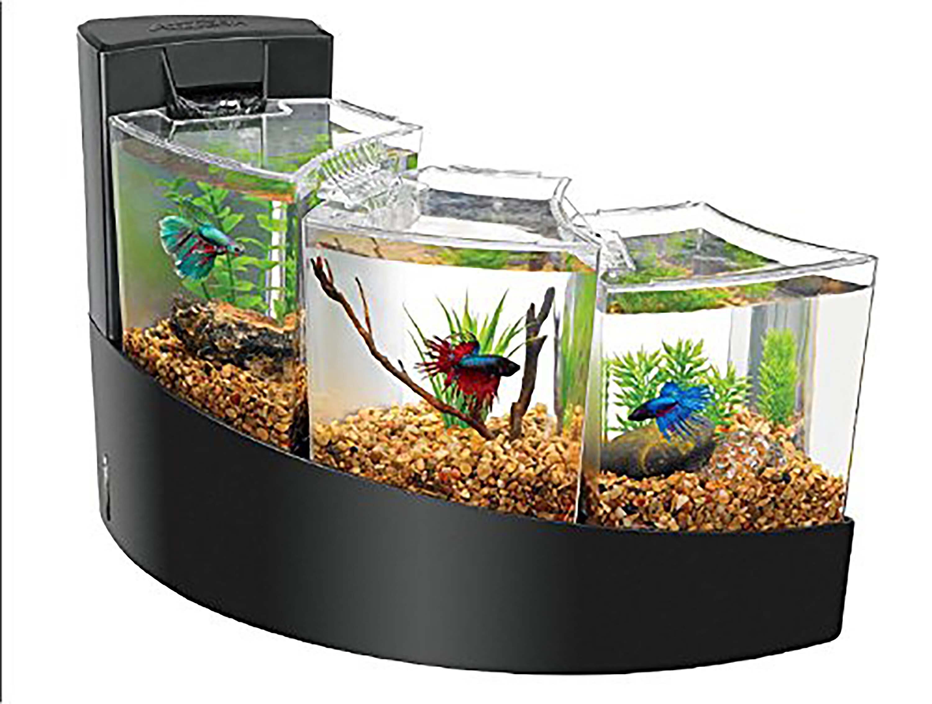AQUEON Betta Falls Aquarium Kit Customer Questions
