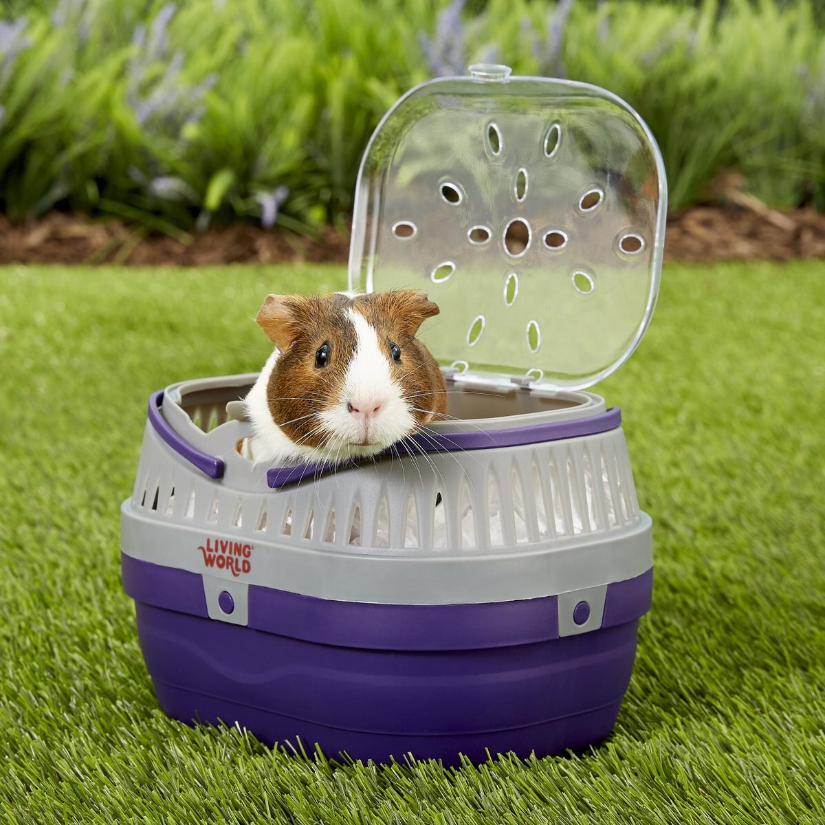 LIVING WORLD Small Animal Carrier, Purple & Grey, Small