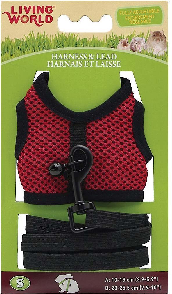 LIVING WORLD Small Animal Harness & Lead, Color Varies, Small