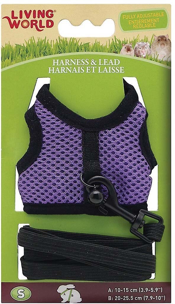 LIVING WORLD Small Animal Harness & Lead, Color Varies, Small