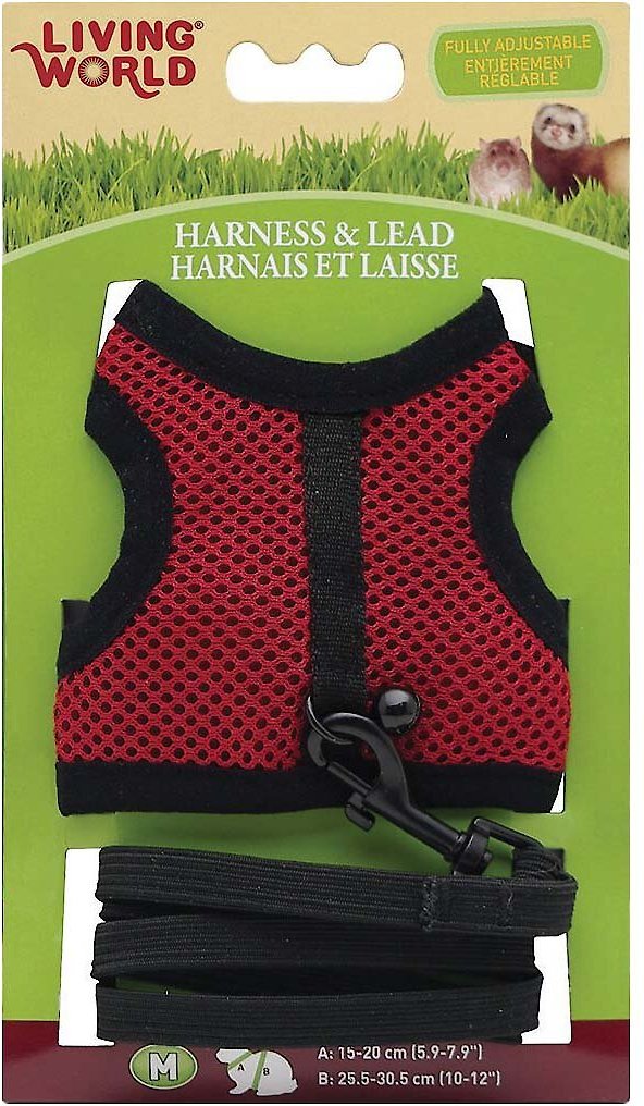 LIVING WORLD Small Animal Harness & Lead, Color Varies, Medium