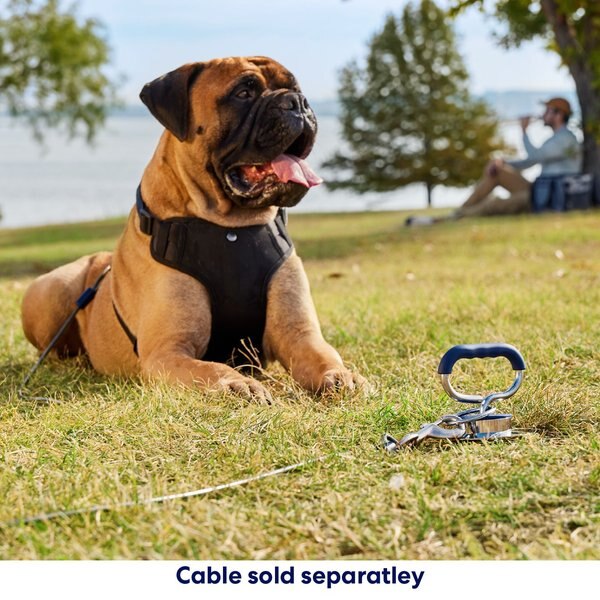 Titan Hard Soil Fin Dog Tie Out Stake, 20-in