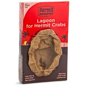 Amphibian / Herptile: Hermit Crab Sponge