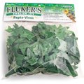 Fluker's English Ivy Repta-Vines, 6-ft