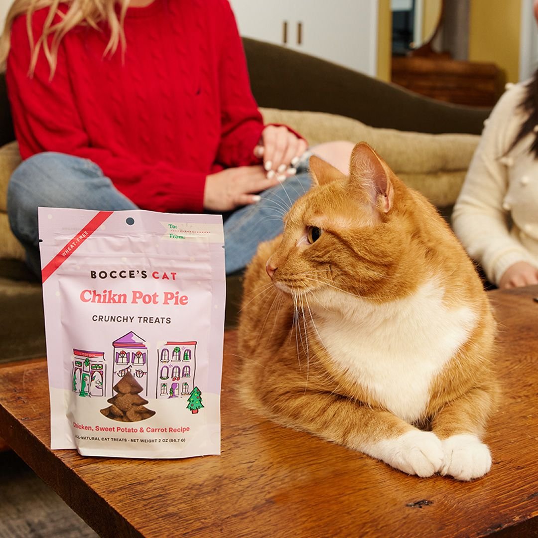 BOCCE'S BAKERY Chicken Pot Pie Soft & Chewy Cat Treats, 2oz bag