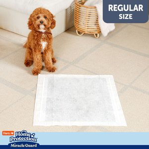 Hartz Home Protection Miracle Guard Dog Potty Pads, Regular, 50 count