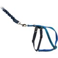 PetSafe Come with Me Kitty Glitter Nylon Cat Harness & Bungee Leash, Blue, Large: 13 to 18-in chest