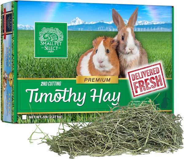Small Pet Select Second Cut Timothy Hay Small Animal Food, 5-lb box slide 1 of 4