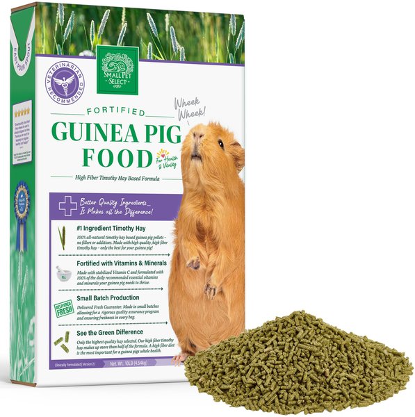 Small Pet Select Timothy Based Guinea Pig Food, 10-lb bag slide 1 of 4