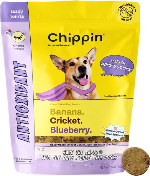 CHIPPIN Antioxidant Joint Health Blueberry Cricket Crunchy Dog Treats