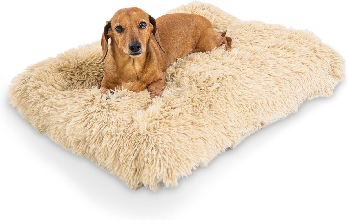 Best Friends by Sheri 4-in-1 Orthopedic Nap Mat Shag Dog Mat with Removable Cover