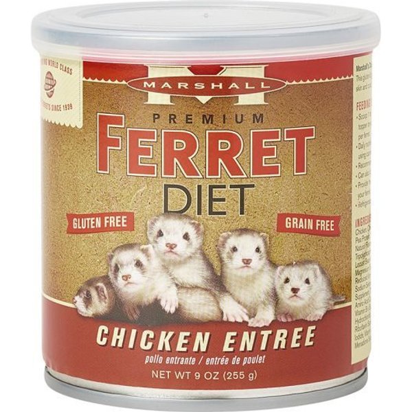 Higgins inTune Duets Chicken Meal & Salmon Ferret Treats, 3-oz bag