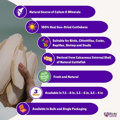 Show full view: Birds LOVE Cuttlebone Calcium Block Supplement for Birds, Tortoise & Snails, 3.5 to 4-in, 2 count slide 2 of 8