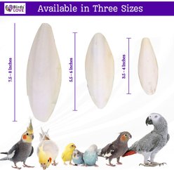 Birds LOVE Cuttlebone Calcium Block Supplement for Birds, Tortoise & Snails, 3.5 to 4-in, 2 count slide 2 of 7