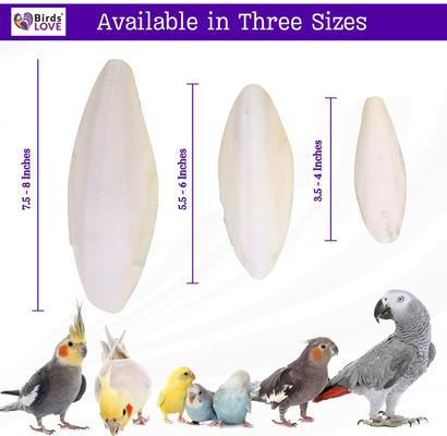 Show full view: Birds LOVE Cuttlebone Calcium Block Supplement for Birds, Tortoise & Snails, 3.5 to 4-in, 2 count slide 5 of 8