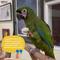 Show in main carousel: Birds LOVE Cuttlebone Calcium Block Supplement for Birds, Tortoise & Snails, 3.5 to 4-in, 2 count slide 7 of 8