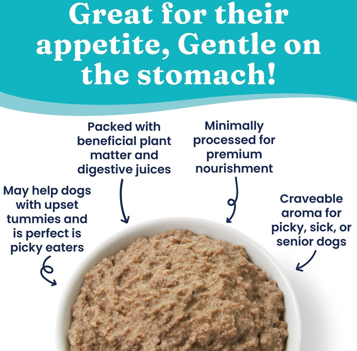 SOLID GOLD Green Cow Beef Tripe Loaf for Picky Eaters GrainFree Wet