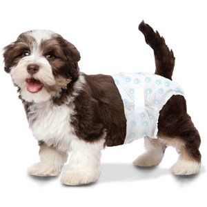 Wee-Wee Disposable Male & Female Dog Diapers, X-Small: Up to 12-in waist, 12 count