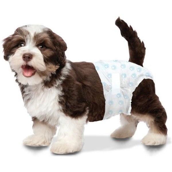 PAW INSPIRED Disposable Female Dog Diapers, XSmall 12 to 17in waist