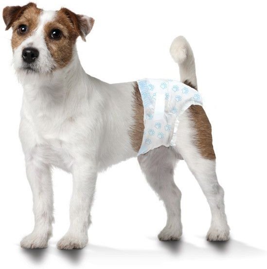 Wee-Wee Disposable Male & Female Dog Diapers, Small: 12 to 15-in waist, 12 count slide 1 of 9