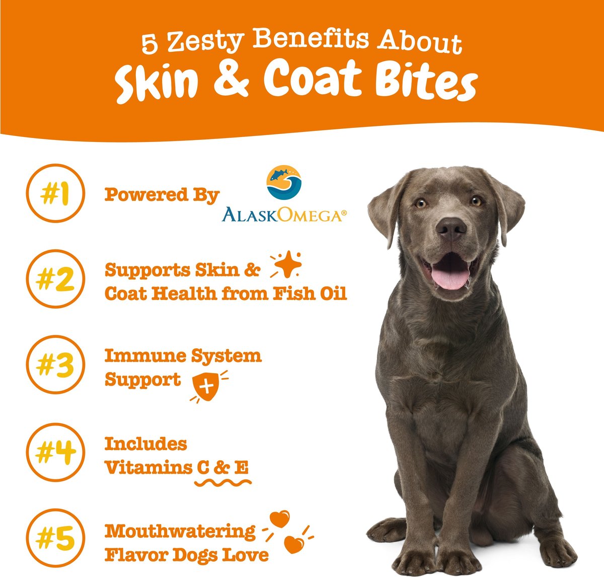 Zesty Paws Skin Coat Bites Bacon Flavored Soft Chews Omega Fish Oil Supplement for Dogs