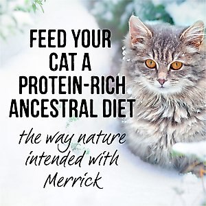 Merrick Backcountry Grain-Free Morsels in Gravy Real Rabbit Recipe Cuts Cat Food Pouches, 3-oz, case of 24